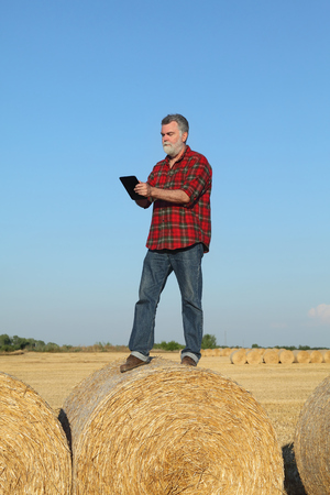 Farmer or agronomist in wheat field after harvest examining bale, rolled straw, using tabletの写真素材