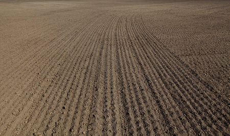 Cultivated field in spring, agricultural works for preparing land