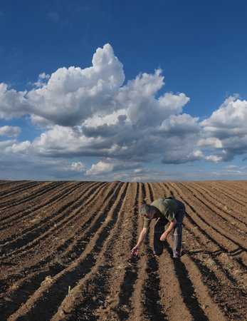Farmer or agronomist inspecting ground in field in spring after land plowing, agricultural works in summerの写真素材