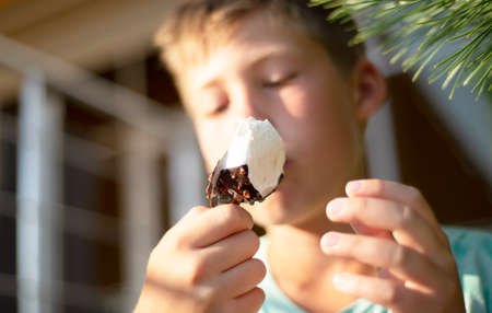 The boy eats chocolate ice cream. Defocused face. Eskimo on a stick in the heat.の写真素材