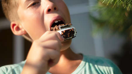 The boy eats ice cream in chocolate with nuts. Taste pleasure. Refreshing. Pleasure. Portrait.の写真素材