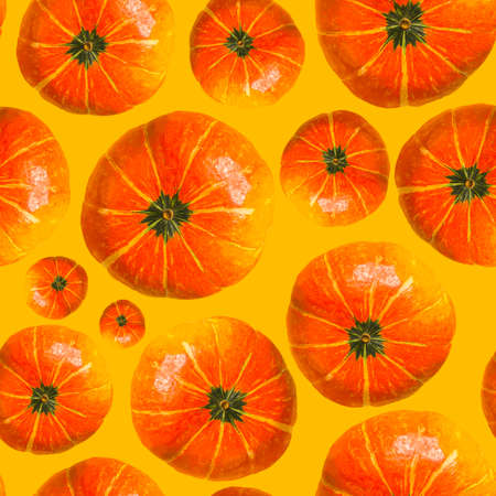 Pumpkin seamless pattern. Collage on a yellow background.の写真素材