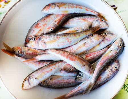 Fresh caught fish on a white dish. Red mullet fish.の写真素材