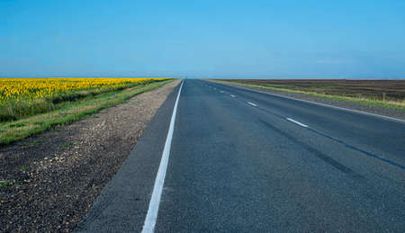 Leaving the road into the distance. The track is automobile. On the edges of the road there are fields with sunflowers. backgrounds.の写真素材