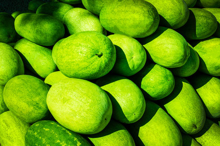 Background from green watermelons. fruit background. Melons.