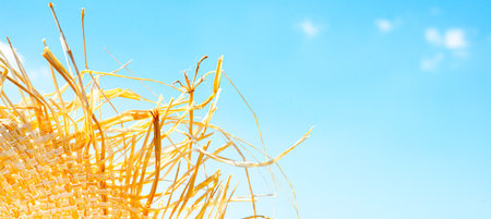 Tousled straw hat brim against blue sky. Copy space for text. summer backgrounds.の写真素材