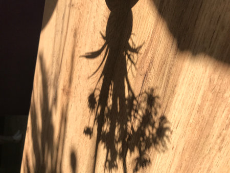 Shadow from a bouquet in a vase on a wooden table. Flower shadows. Backgrounds.の写真素材