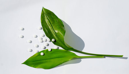 Two green large sheets and white round tablets. Flower from pills on a white background.