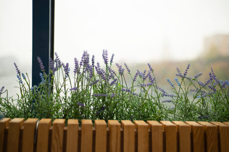 Large window and rain outside. Window sill decoration with artificial lavender flowers. Interior designs. Copy space for text.の写真素材