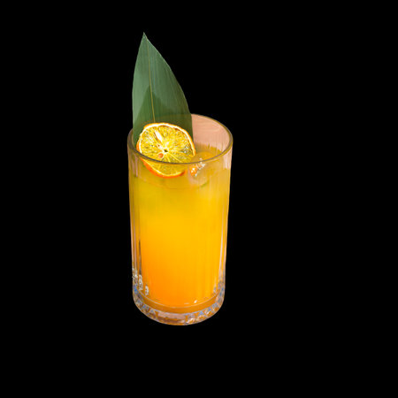 Glass with fruit juice. Exotic lemonade with orange chips slice and green leaf. Isolate.の写真素材