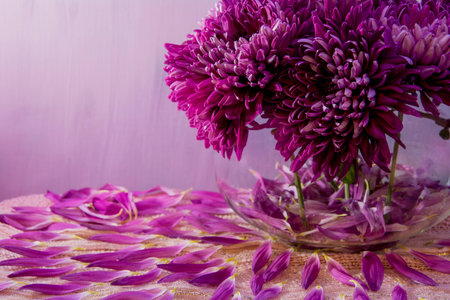 Purple rain of leavesの写真素材