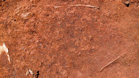 dry brown soil in the garden