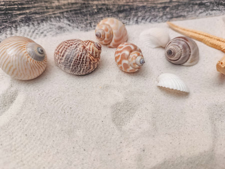 Colorful seashells rest on soft white sand, highlighting their unique textures and patterns.