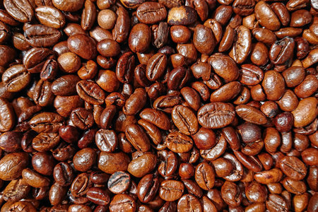 Close-up of shiny, roasted coffee beans tightly packed together.