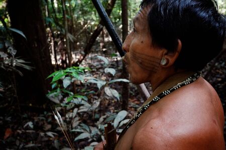 Atalaia du Norde, Amazonia / Brazil - FEB 02 2016:Tribal elder Binan Tukum hunting with his son for monkeys in the rainforestのeditorial素材