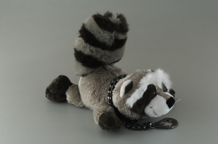 Soft toy for children Raccoon  With a medallion の写真素材
