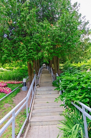The Golden ring of Russia, Vladimir city, the Botanical garden of the scouts.の写真素材