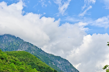 Types of Abkhazia, landscapes and subtropical vegetation.の写真素材