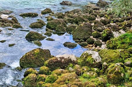 Types of Abkhazia, landscapes and subtropical vegetation.の写真素材