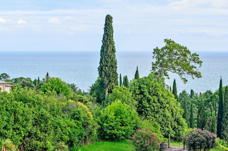 Types of Abkhazia with the new Athos monastery.