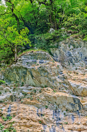 Types of Abkhazia, landscapes and subtropical vegetation.の写真素材