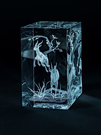 Laser engraving deer inside the glass on a black background.の写真素材