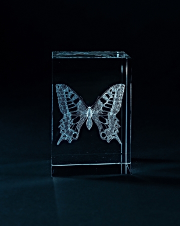 Laser engraving butterfly inside the glass on a black background.の写真素材