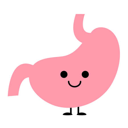 Cute internal organs stomachのイラスト素材