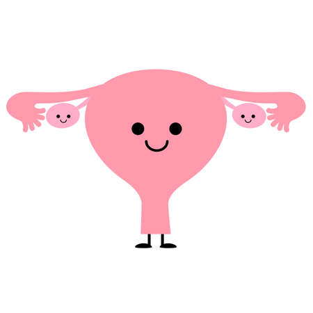 Cute internal organs uterus, ovariesのイラスト素材