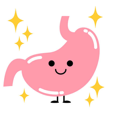 Cute and energetic internal organs stomachのイラスト素材