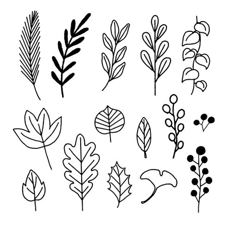 Hand-drawn plant line artのイラスト素材