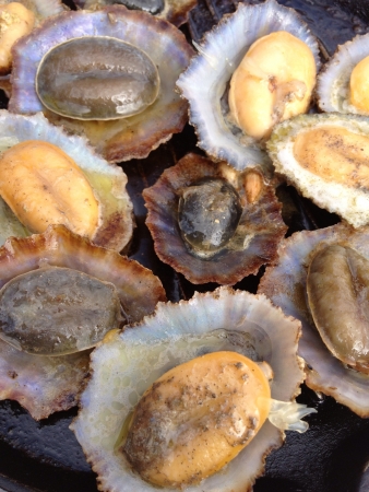 Grilled limpets. Madeiras traditional dish.の素材
