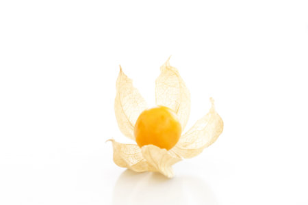Cape gooseberry  physalis  over a white backgroundの写真素材