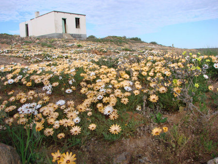 Spring timeの写真素材