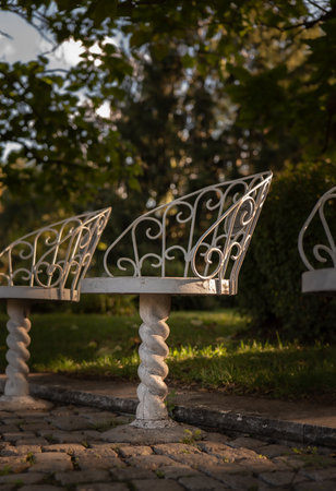Bench in the park in the evening light.の写真素材