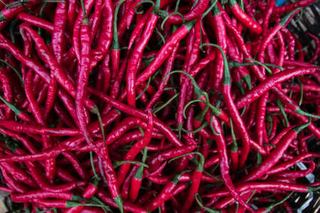 Red chillies on traditional marketの写真素材