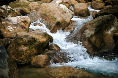 Small river with waterfall in the forest