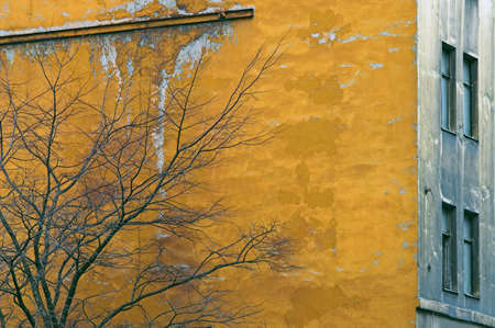 Corroded Wall with windows in back alleyの写真素材