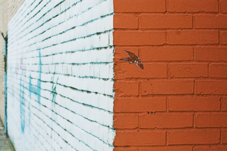 Close-up view of corner and painted wall with graffitiの写真素材