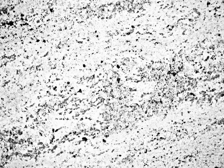 A close-up of a surface of black-and-white treated granite rock plate. A fragment of a stone wall decoration. Texture of grey granite facing material.の写真素材