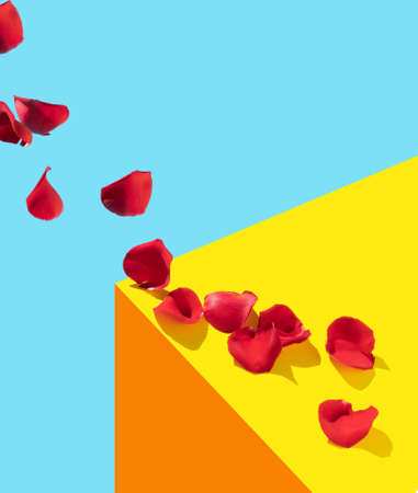 Red rose flower petals on colorful background. Minimal nature or woman's day concept. Creative background.の写真素材