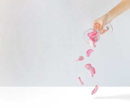 The petals of a pink rose fall on a light background. Minimal nature love idea. Spring and summer...
