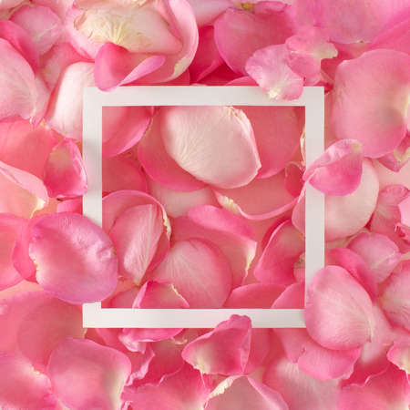 Creative layout made with flowers and white frame. Spring minimal concept. Nature background.の写真素材