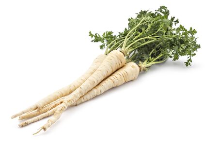 Bunch of fresh organic parsley with root leaf on white backgroundの写真素材