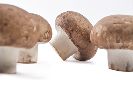 Fresh raw brown champignons mushrooms on a white backgroundの写真素材