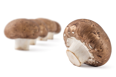 Fresh raw brown champignons mushrooms on a white backgroundの写真素材