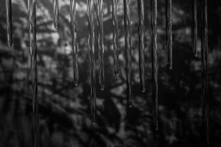 Black abstract background painted and blurredの写真素材