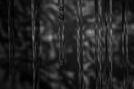 Black abstract background painted and blurredの写真素材