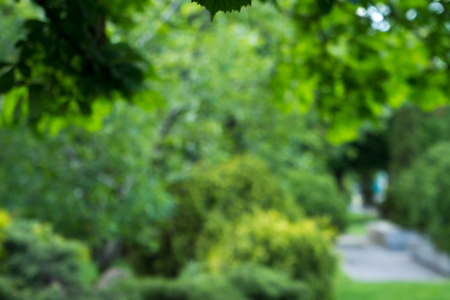 Natural Bokeh,blurred bokeh.の写真素材