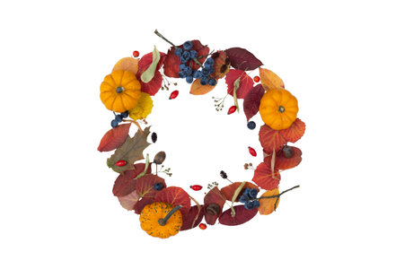 Autumn composition. Dried leaves, pumpkins, flowers, rowan berries on white background. Autumn, fall, halloween, thanksgiving day concept. Flat lay, top view, copy space. High quality photoの写真素材